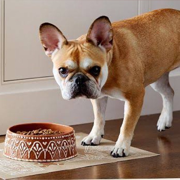 Pottery Barn Gingerbread Medium Pet Bowl BN